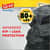 CLO70359 Image Thumbnail 22