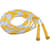 CSIPR8 Image Thumbnail 1
