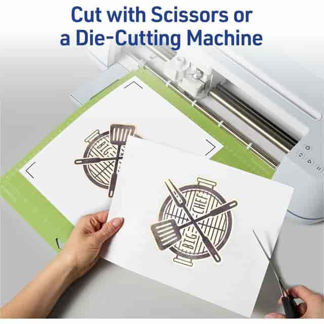 AVE3279 Product Image 5