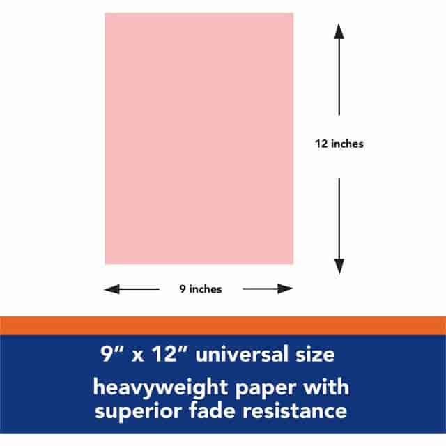 PAC103012 Product Image 2