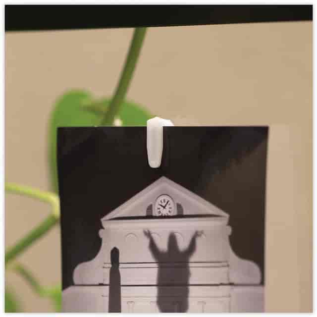 AVT01220 Product Image 4