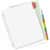 AVE11222 Image Thumbnail 1