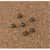 BVCMVI270501 Image Thumbnail 5