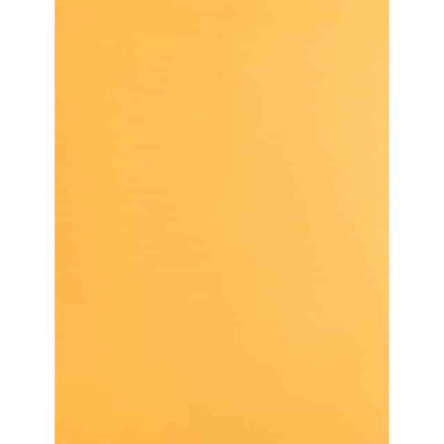 BSN42100 Product Image 2