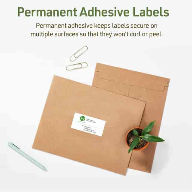 AVE48263 Product Image 7