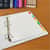 BSN20075 Image Thumbnail 6