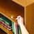 MAS18084 Image Thumbnail 4