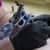 ALL24085 Image Thumbnail 1