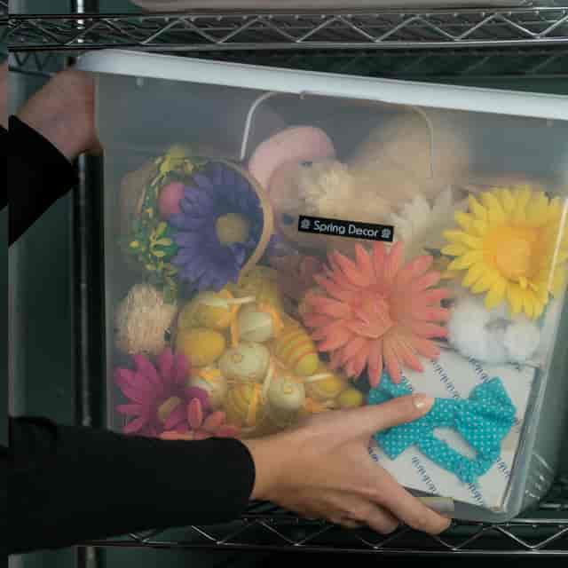 BRTTZE335 Product Image 4