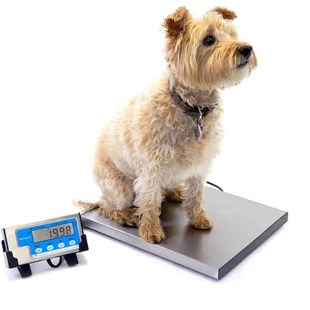 SBWLPS400 Product Image 11