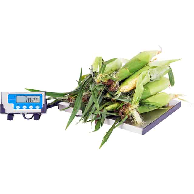 SBWLPS400 Product Image 13