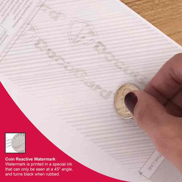 PRB04517 Product Image 10