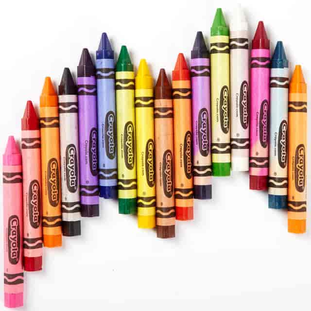 CYO528039 Product Image 4