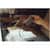 VER49172 Image Thumbnail 5