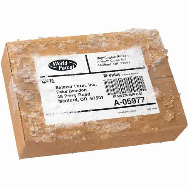 AVE15516 Product Image 8