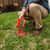CSIIHS1 Image Thumbnail 5