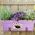 AVE22827 Image Thumbnail 7