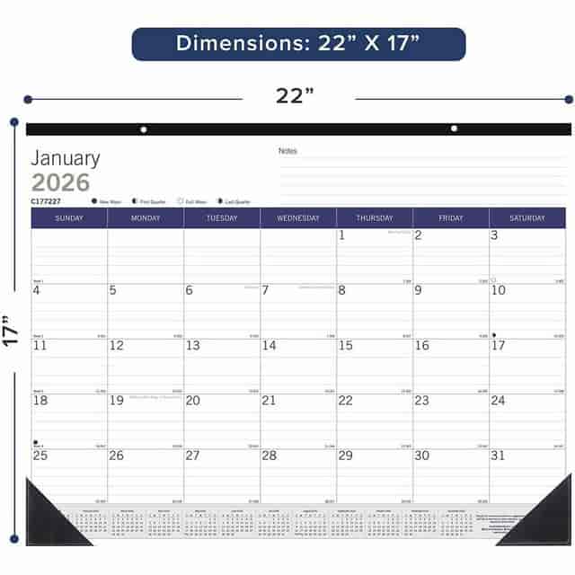 REDC177227 Product Image 2