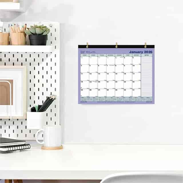 REDC181721 Product Image 6