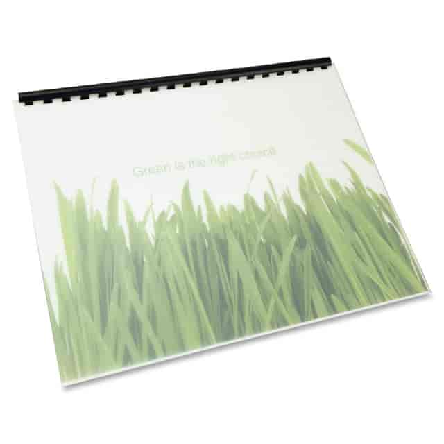 GBC25817 Product Image 9