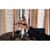 SAN13401 Image Thumbnail 3