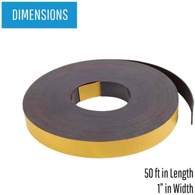 BVCFM2021 Product Image 4
