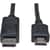 TRPP582003 Image Thumbnail 1