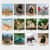 HOD3689 Image Thumbnail 2