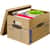 FEL7714209 Image Thumbnail 2