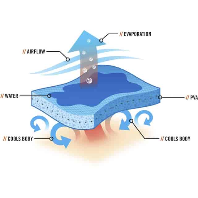 EGO12438 Product Image 6