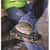 EGO16753 Image Thumbnail 1