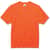 EGO21562 Image Thumbnail 1
