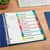 AVE11841 Image Thumbnail 7