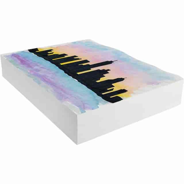 PAC4835 Product Image 2