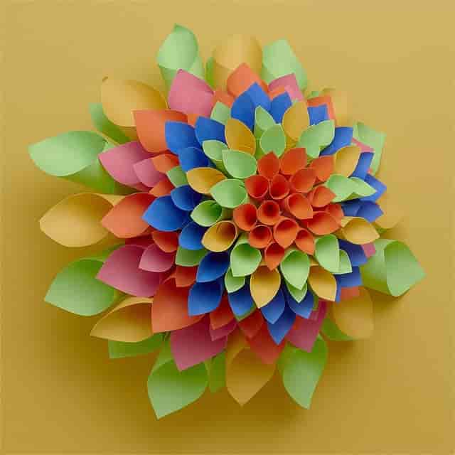 PAC6597 Product Image 7