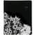 AAG589905 Image Thumbnail 1