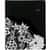 AAG589905 Image Thumbnail 1