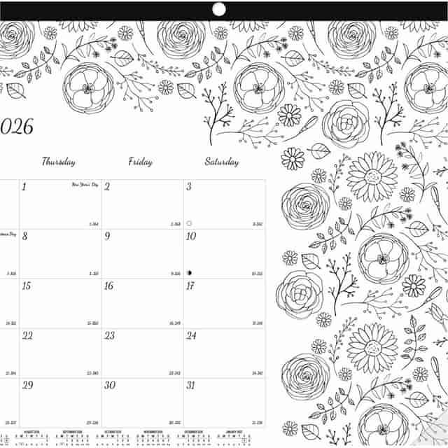 REDC2917001 Product Image 4