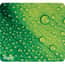 ASP31624 Thumbnail