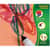 CYO587858 Image Thumbnail 5