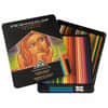 SAN3598THT - Premier Colored Pencils - 48/Set, Assorted Lead, Assorted Barrel, 48 / Box