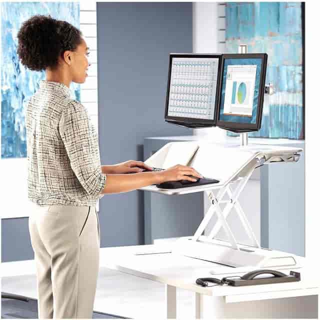 FEL8042801 Product Image 9