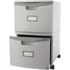 STX61310B01C - Single/Double Poly Filing Drawer, 14.1" Length x 31.8" Width x 26" Height, 2 x Drawer(s) for File