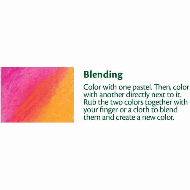CYO524613 Product Image 6