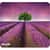 ASP31422 Image Thumbnail 1