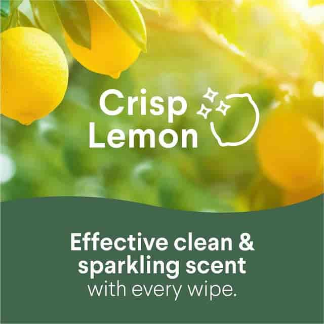 CLO31404 Product Image 5