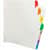 BSN21901 Image Thumbnail 1