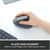 LOG910005447 Image Thumbnail 5
