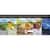 BTC17578 Image Thumbnail 1