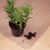 FLRECO123648AEP Image Thumbnail 2